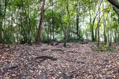 Parc de Bourran de Merignac (5).